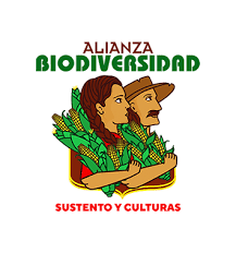 gráfica alusiva a Revista Biodiversidad, Sustento y Culturas