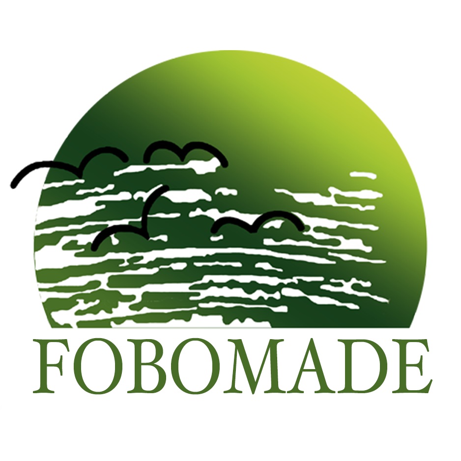 gráfica alusiva a FOBOMADE - Foro Boliviano Medio Ambiente y Desarrollo