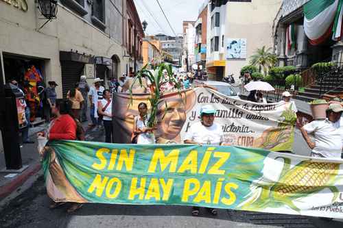 Grafica alusiva a Taller sobre estrategias comunitarias frente a la contaminación transgénica del maíz nativo. Ciudad de México, abril 4 a 8 de 2005 