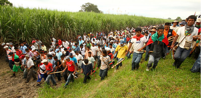 Grafica alusiva a Territorios indígenas y proyecto de Ley 30 de Desarrollo Rural