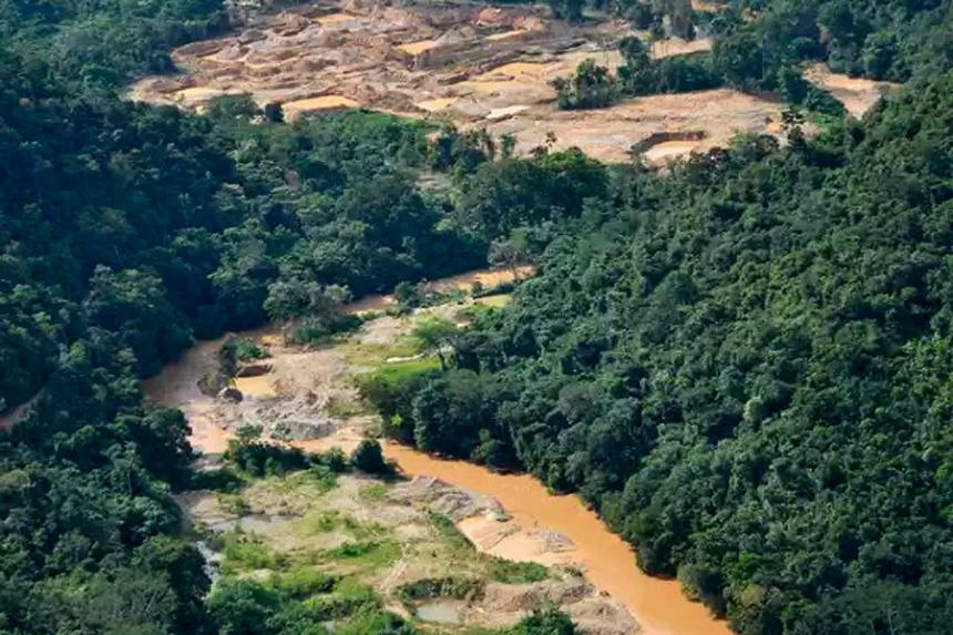 Grafica alusiva a Defensa de la vida y el territorio en el Sur de Bolívar. “Cuando los bosques desaparezcan y los ríos se sequen, ¿De qué nos sirve el oro?”¿Podrá entonces el oro devolvernos la vida? [1]