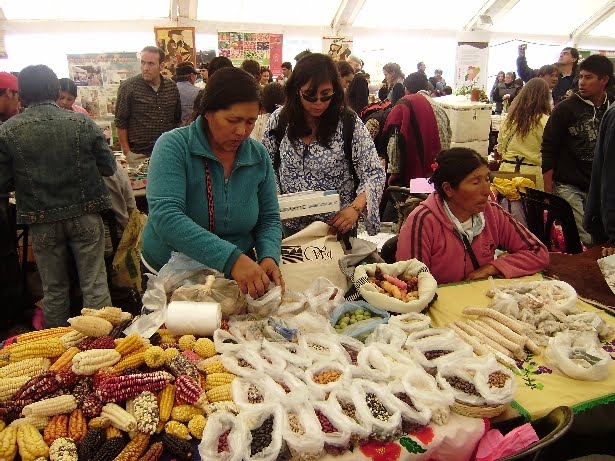 Grafica alusiva a Fiesta nacional de las semillas