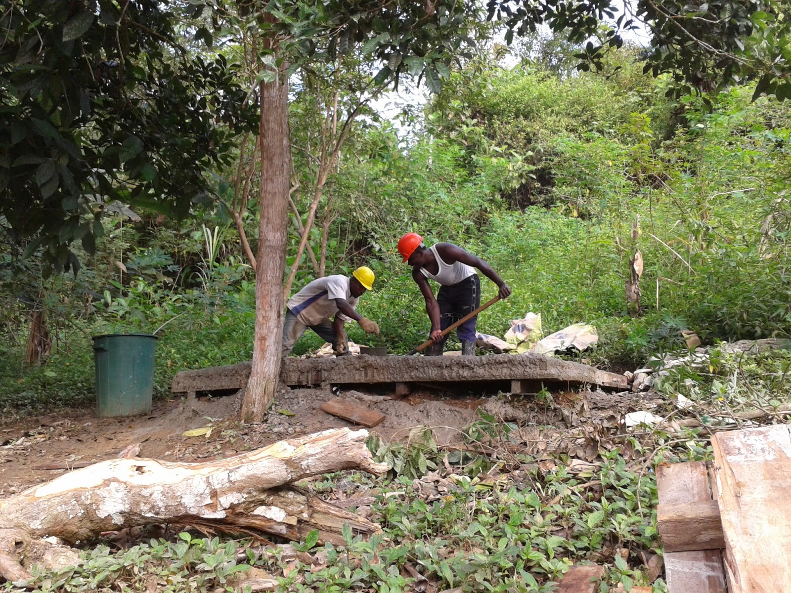 Grafica alusiva a Gestión comunitaria para la montaña. Una experiencia para vivir y aprender el territorio colectivo del Consejo Comunitario de Costa de Oro, en el Bajo Atrato