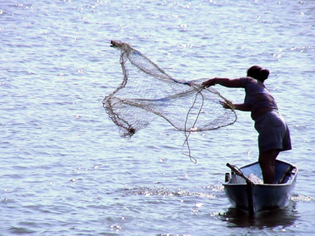 Grafica alusiva a Las mujeres en la pesca artesanal. Comunidades negras del Bajo Atrato Departamento del Chocó 