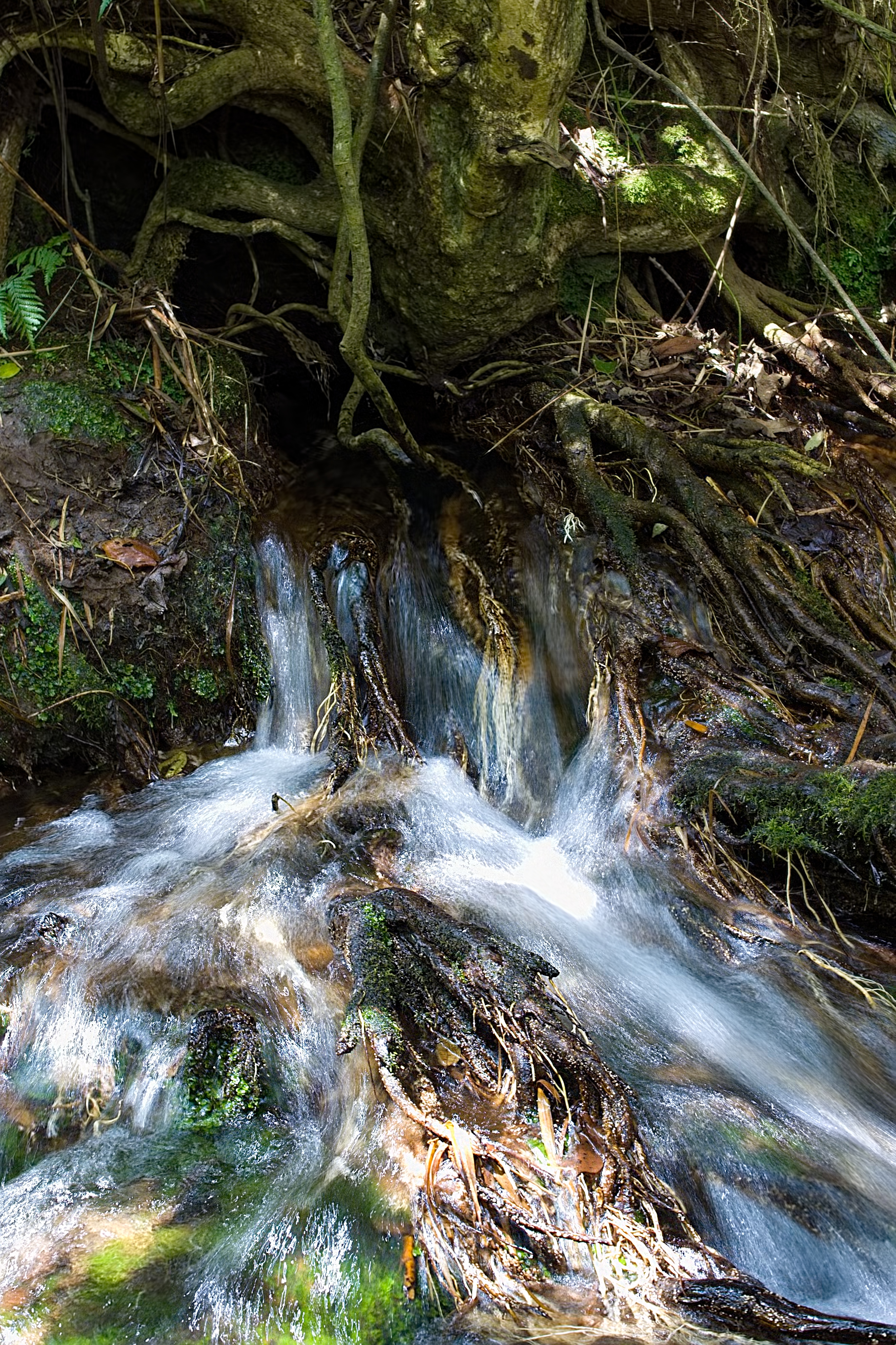 Grafica alusiva a Gestión comunitaria del agua: Caso suroeste antioqueño