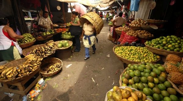 Grafica alusiva a Jornadas transgénicos, nuevas tecnologías y soberanía alimentaria