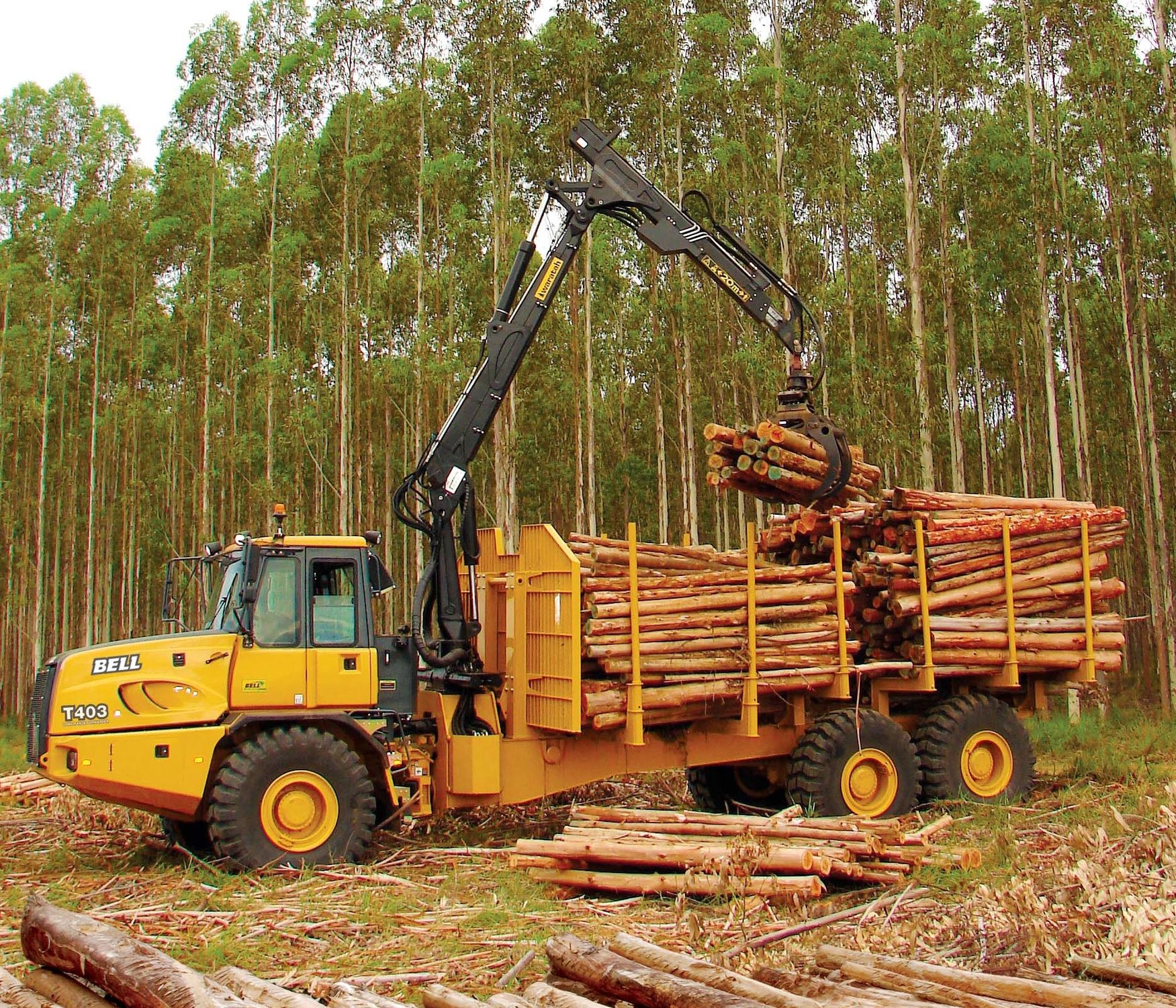 Grafica alusiva a La Corte Constitucional declara inexequible la Ley Forestal