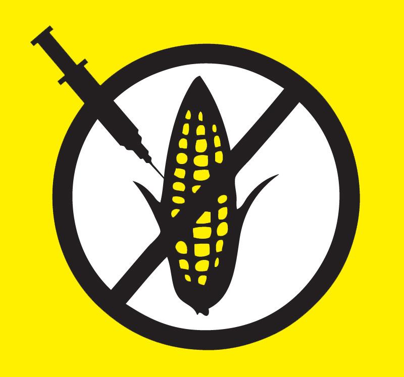 Grafica alusiva a El maíz transgénico: Una amenaza al patrimonio genético del país y a la soberanía alimentaria