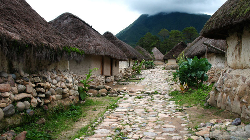 Grafica alusiva a Niwi Umuke*. Control sobre el territorio, la biodiversidad y las investigaciones en territorios indígenas de la Sierra Nevada de Santa Marta