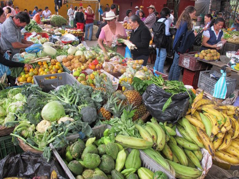 Grafica alusiva a Los canales de comercialización y la economía campesina