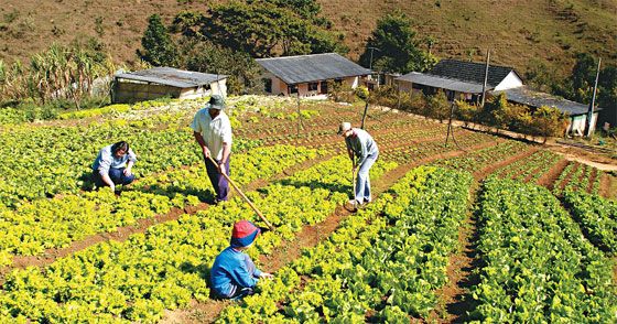 Grafica alusiva a Sumapaz: Afectaciones a la seguridad alimentaria y nutricional 