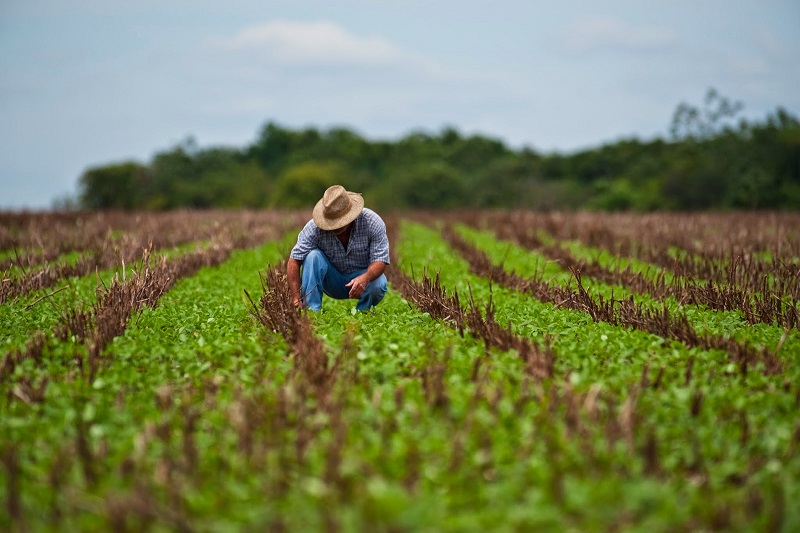 Grafica alusiva a Una Agricultura para la vida