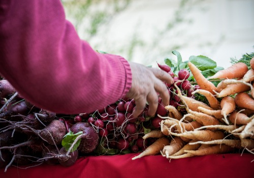 Grafica alusiva a Recuperando el alimento y las culturas ancestrales en la Altillanura colombiana