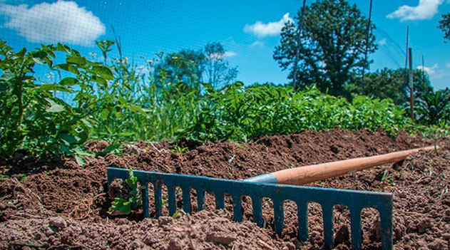 Grafica alusiva a Las políticas de la FAO contra el hambre 