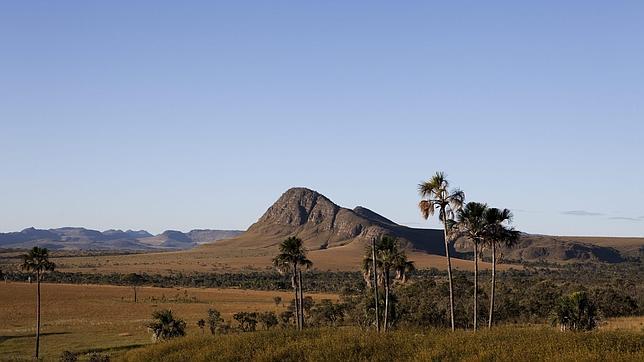 Grafica alusiva a De la euforia al desastre – el caso de los Cerrados en el Norte de Minas Gerais 