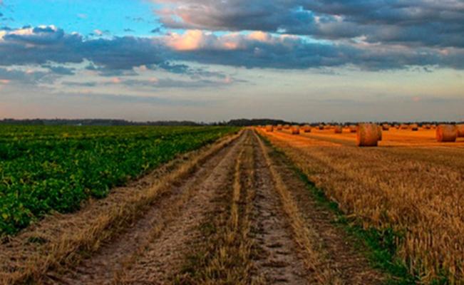 Grafica alusiva a Agua y cambio climático 