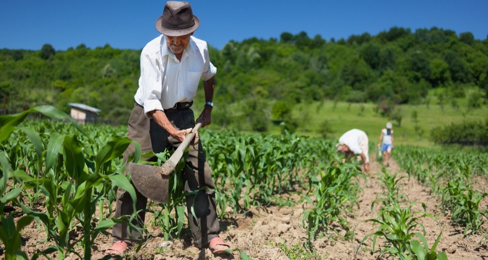 Grafica alusiva a Análisis crítico del proyecto de Ley de Desarrollo Rural en Colombia