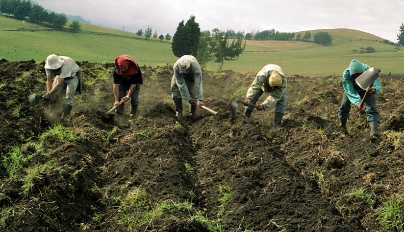 Grafica alusiva a Reflexiones sobre el Incoder y la institucionalidad agraria en Colombia