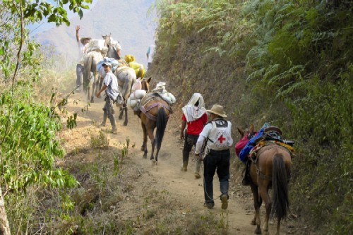 Grafica alusiva a La tierra y el desarrollo humano