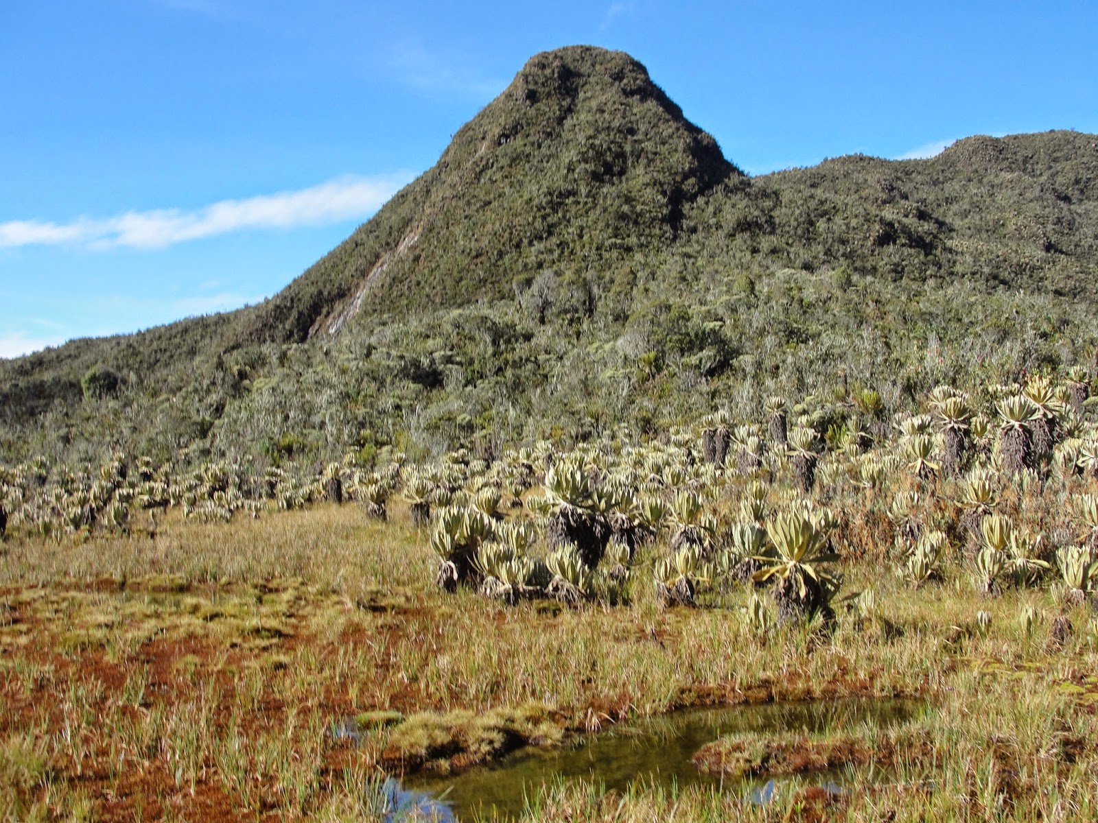 Grafica alusiva a El Parque Natural Regional del Duende, una experiencia de gestión comunitaria