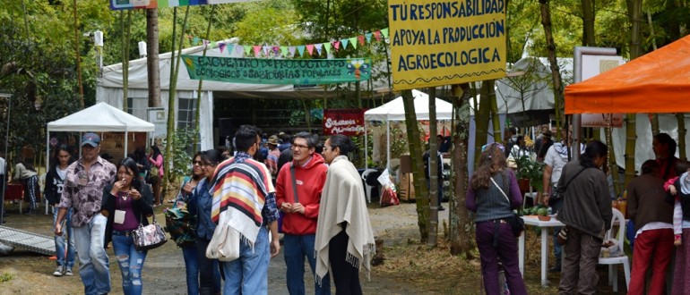 Grafica alusiva a La Certificación de Productos Orgánicos1, caminos y descaminos