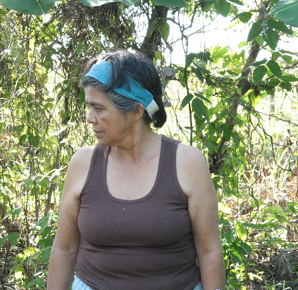 Grafica alusiva a La finca Ebenezer, un pedacito del paraíso