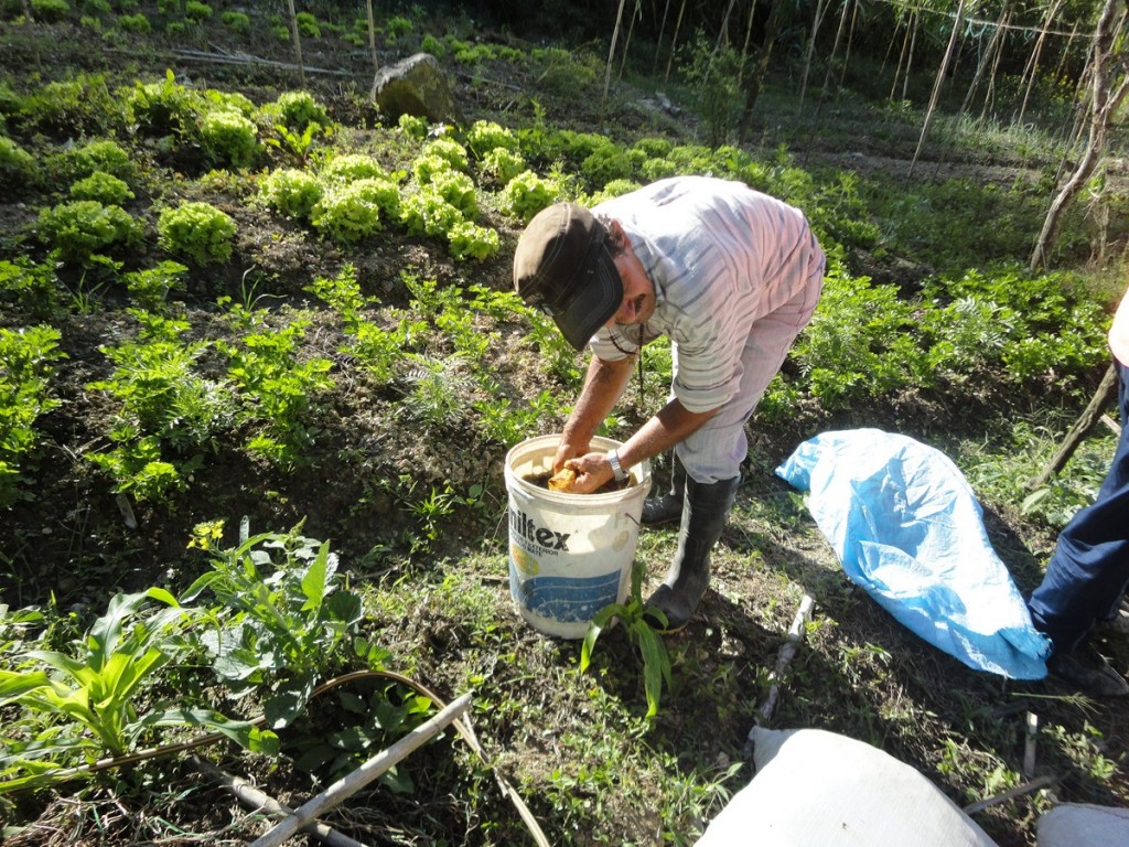 Grafica alusiva a Construcción del concepto de finca tradicional econativa 