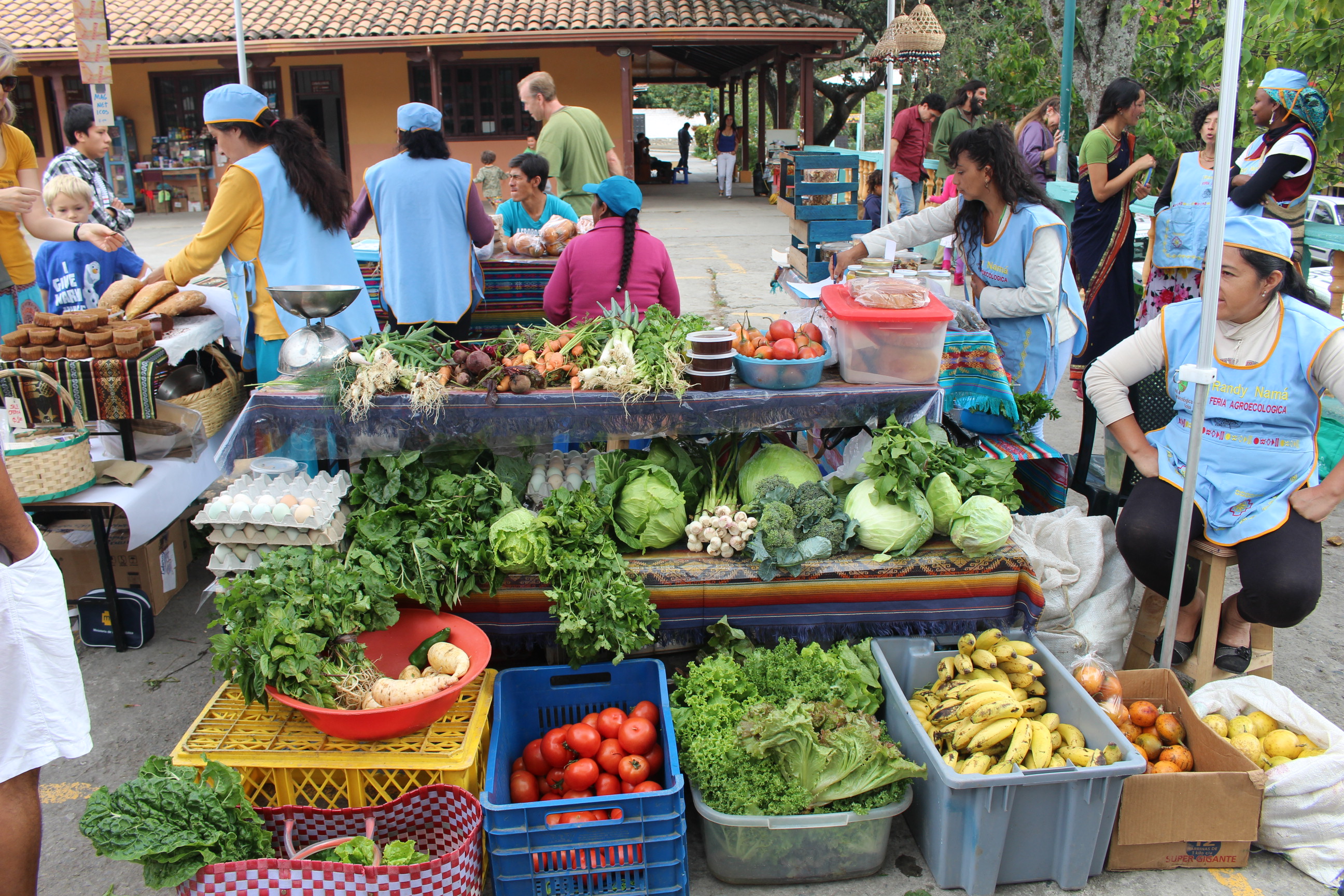 Grafica alusiva a Primera Feria Agroecológica y Foro Internacional por la Soberanía Alimentaria