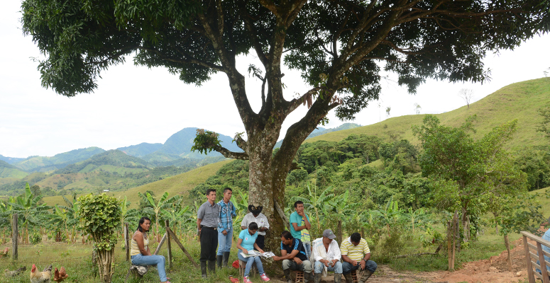 Grafica alusiva a Asociación Red Colombiana de Reservas Naturales de la Sociedad Civil