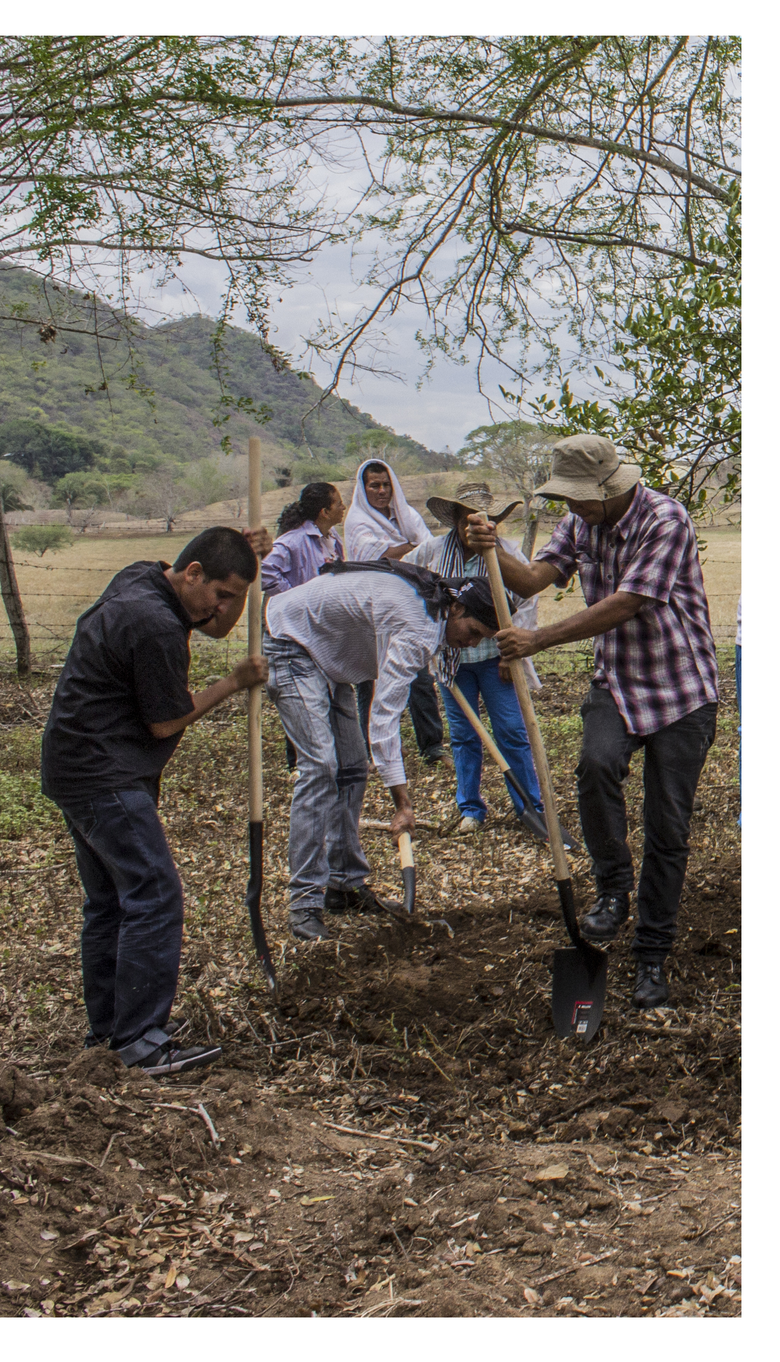 Grafica alusiva a Propuestas para la implementación del enfoque étnico de los acuerdos de paz en los puntos de la Reforma Rural Integral y solución al problema de las drogas ilícitas