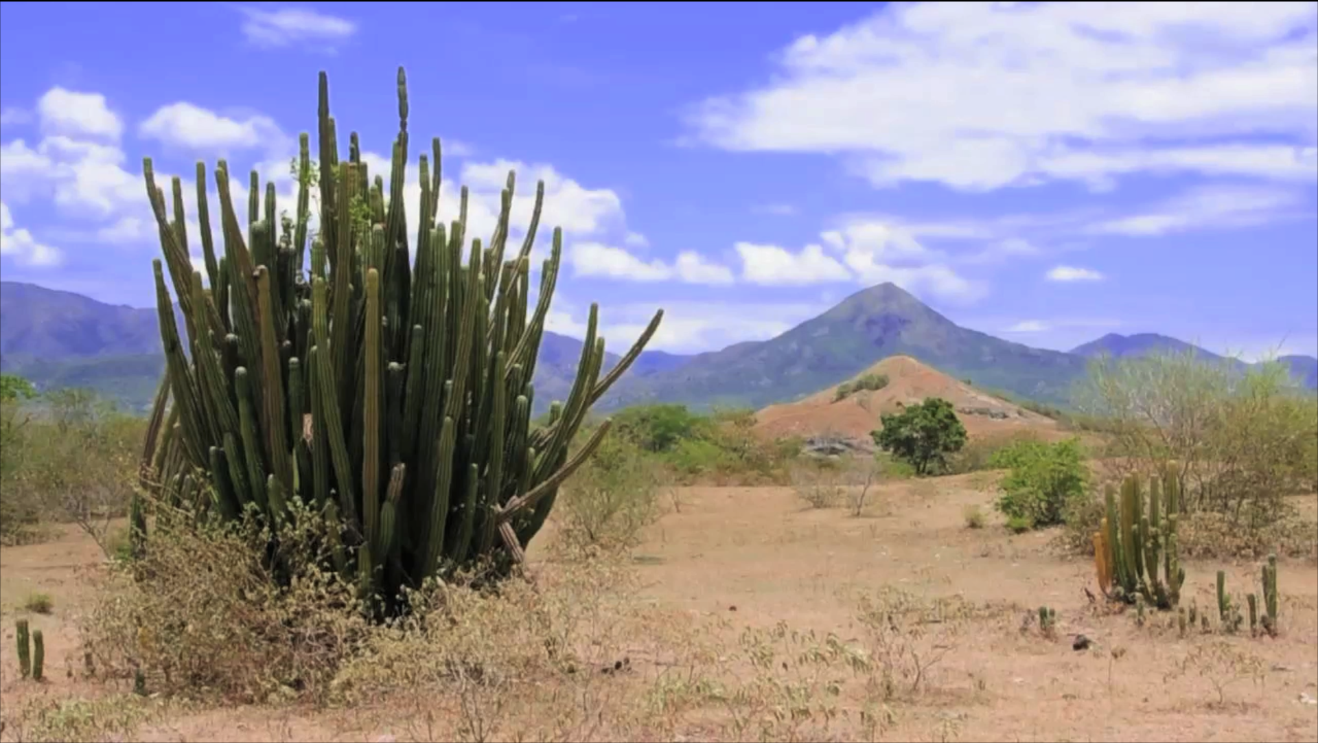 Grafica alusiva a Manejo de agroecosistemas en las condiciones secas del Sur del Tolima 