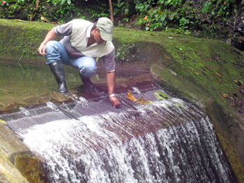 Grafica alusiva a Acueductos comunitarios alternativos para el manejo sostenible del agua y la sequía 