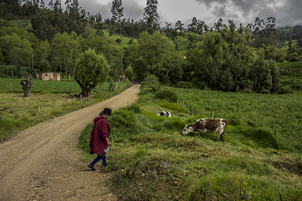 Grafica alusiva a La crisis del sector rural colombiano. Experiencias que aportan a la construcción de alternativas  