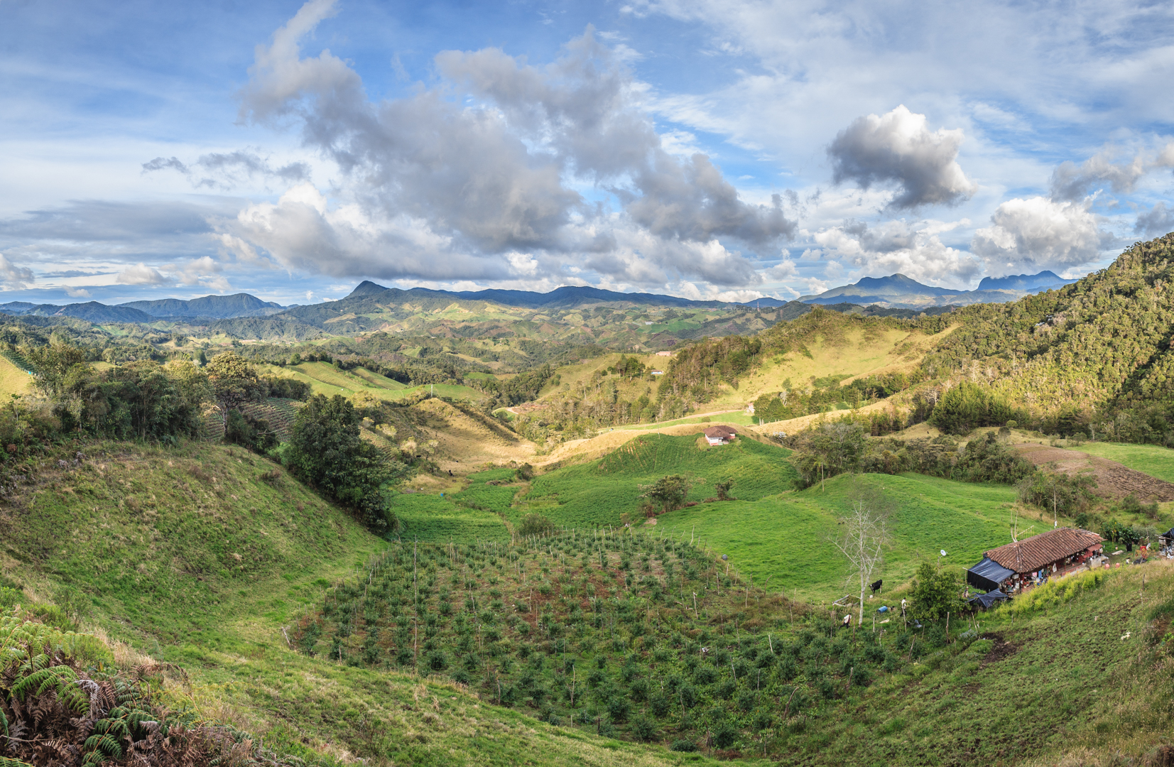 Grafica alusiva a El Distrito Agrario del oriente antioqueño: Una propuesta para el ordenamiento territorial y el desarrollo rural sustentable