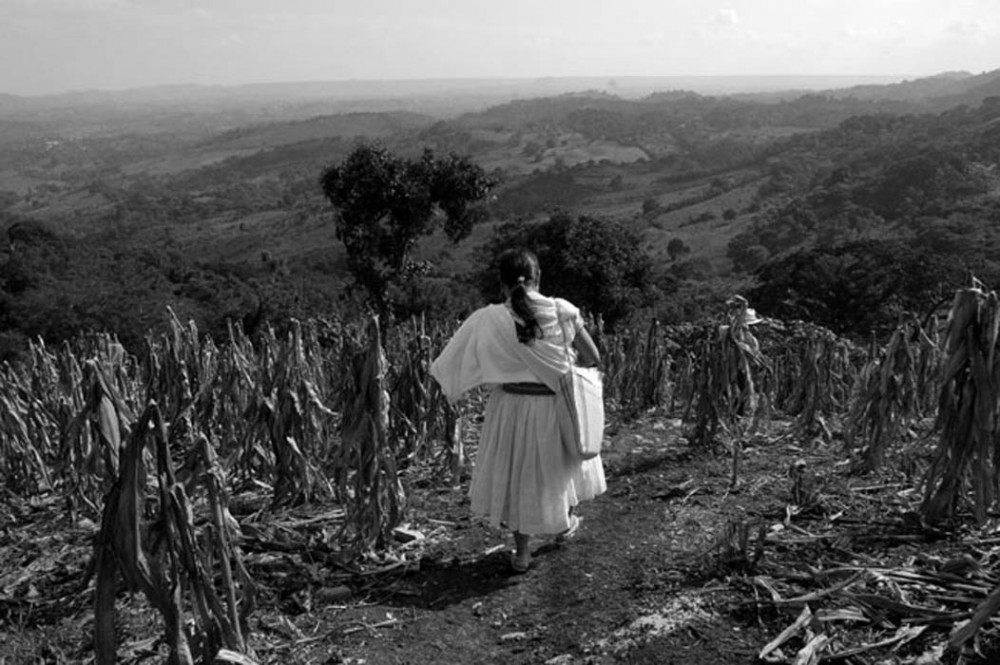 Grafica alusiva a Impacto de la crisis climática en la vida de las mujeres de Santander