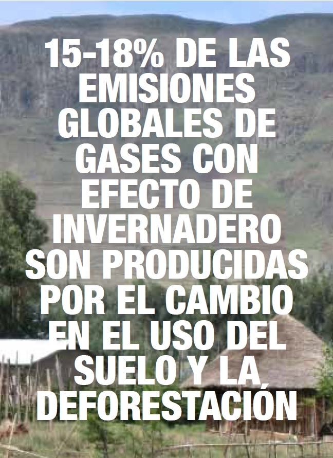 Grafica alusiva a Alimentos y cambio climático: el eslabón olvidado