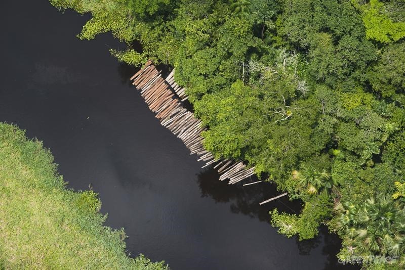 Grafica alusiva a Experiencia de Control Maderero en el Amazonas