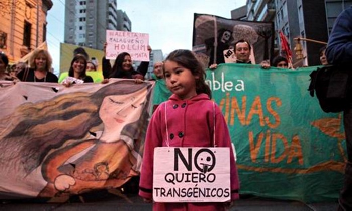Grafica alusiva a Primer fallo judicial en contra de la introducción de cultivos transgénicos en Colombia