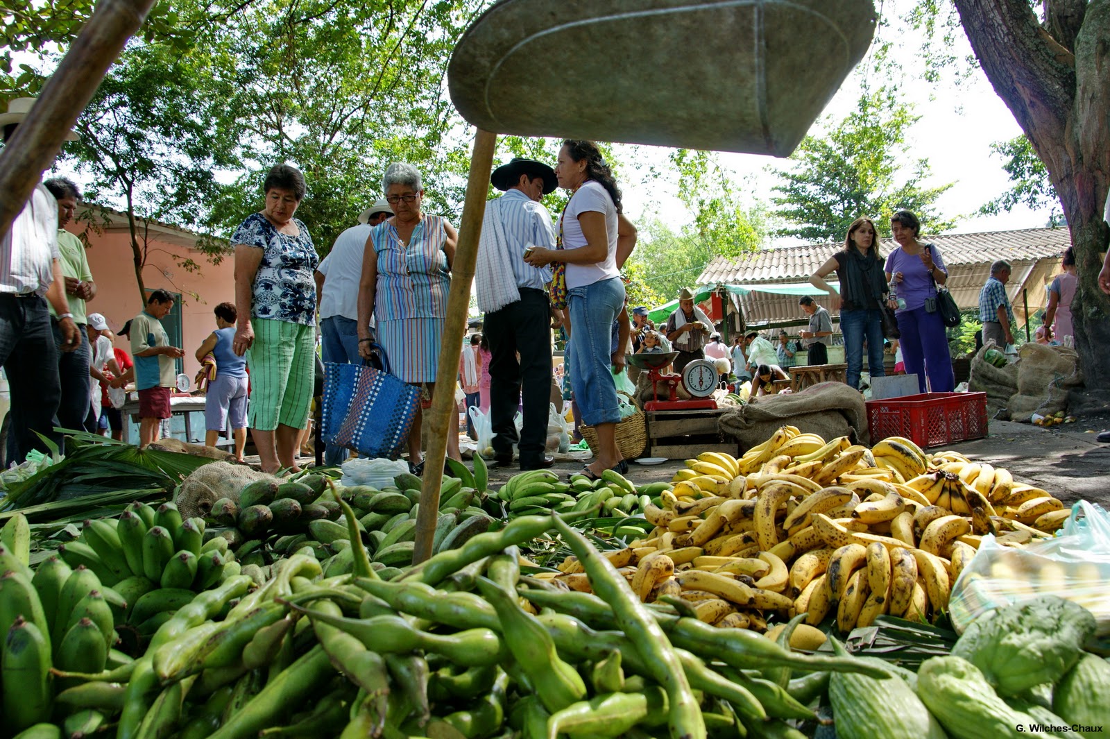 Grafica alusiva a El Tratado de Libre Comercio y la autonomía alimentaria 