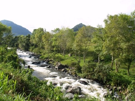 Grafica alusiva a La cuenca del río Otún en la mira de los mercaderes de la vida