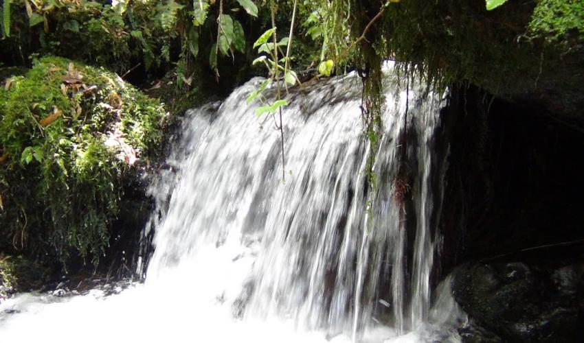 Grafica alusiva a El manejo comunitario del agua en Ocaña. La experiencia de la Asociación Adamiuain