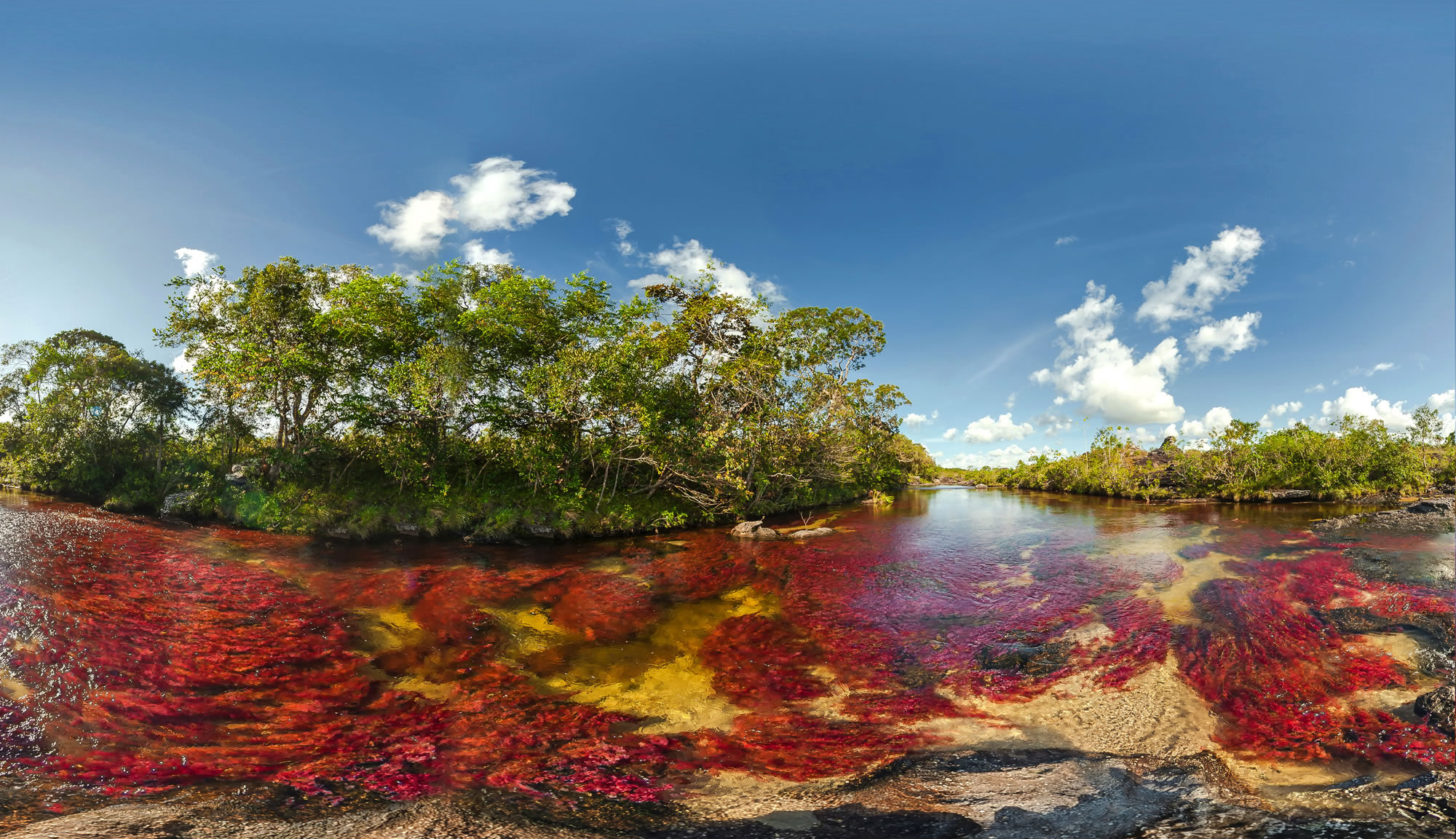 Grafica alusiva a La biodiversidad y el reto de vivir en un nuevo planeta