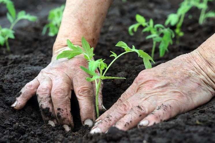 Grafica alusiva a Treinta opciones en agriculturas alternativas