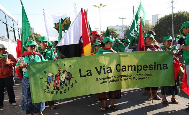 Grafica alusiva a Declaración de la V Conferencia Internacional de la Vía Campesina