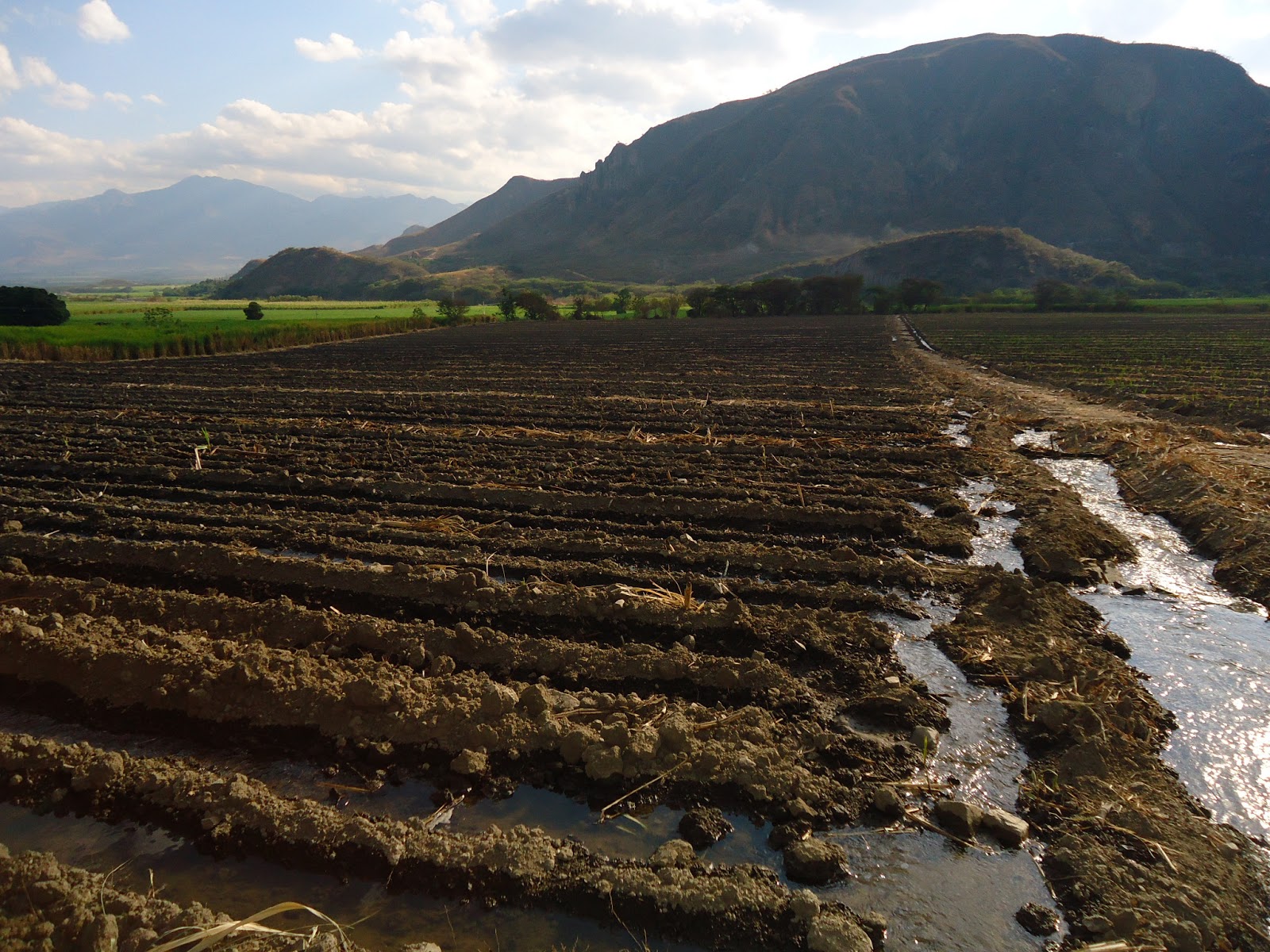 Grafica alusiva a Aportes de las agriculturas campesinas y comunitarias frente al cambio climático