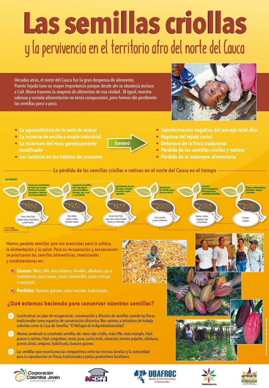 Gráfica alusiva a Las semillas criollas y la pervivencia en el territorio afro del norte del Cauca 