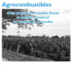 Grafica alusiva a Agrocombustibles �Una propuesta a vender frente al cambio clim�tico? La realidad de Colombia
