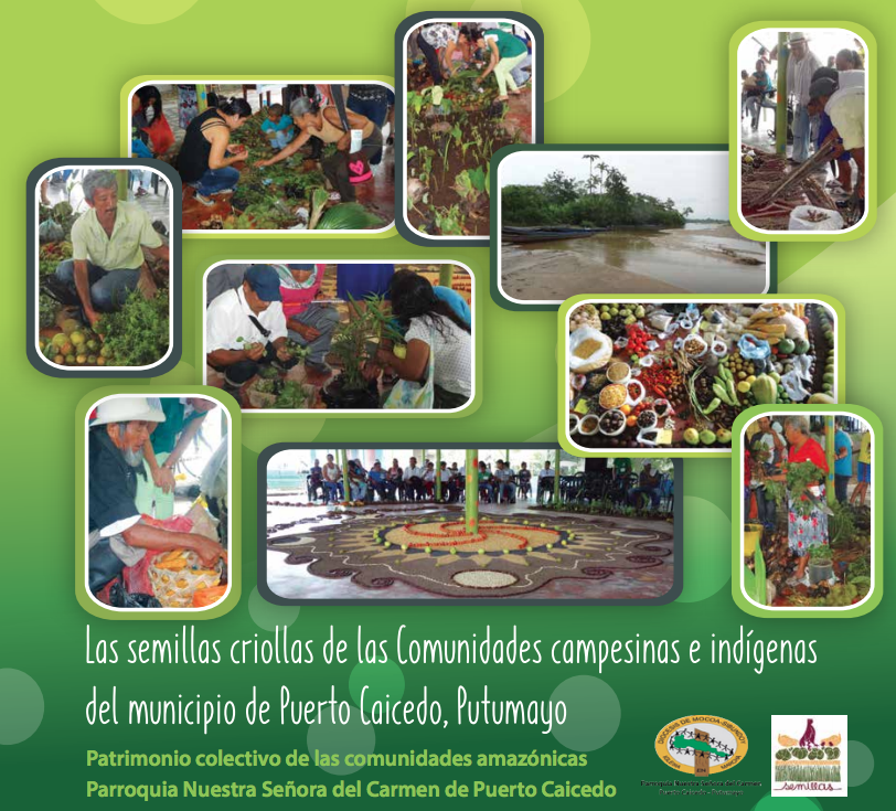 Grafica alusiva a Las semillas criollas de las comunidades campesinas e indígenas del municipio de Puerto Caicedo, Putumayo