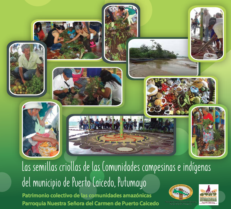 Gráfica alusiva a Las semillas criollas de las comunidades campesinas e indígenas del municipio de Puerto Caicedo, Putumayo