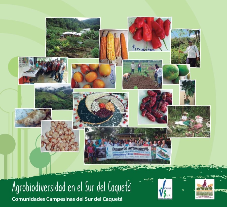 Grafica alusiva a Agrobiodiversidad en el Sur del Caquetá. Caracterización de especies y variedades criollas de semillas campesinas.